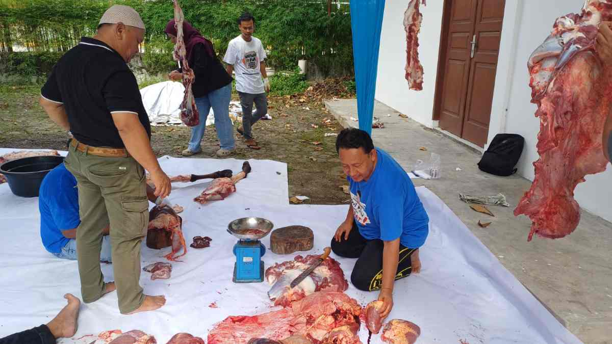 PWI Riau Salurkan Semangat Kebersamaan Lewat Penyembelihan Hewan Kurban Iduladha 1447 Hijriah