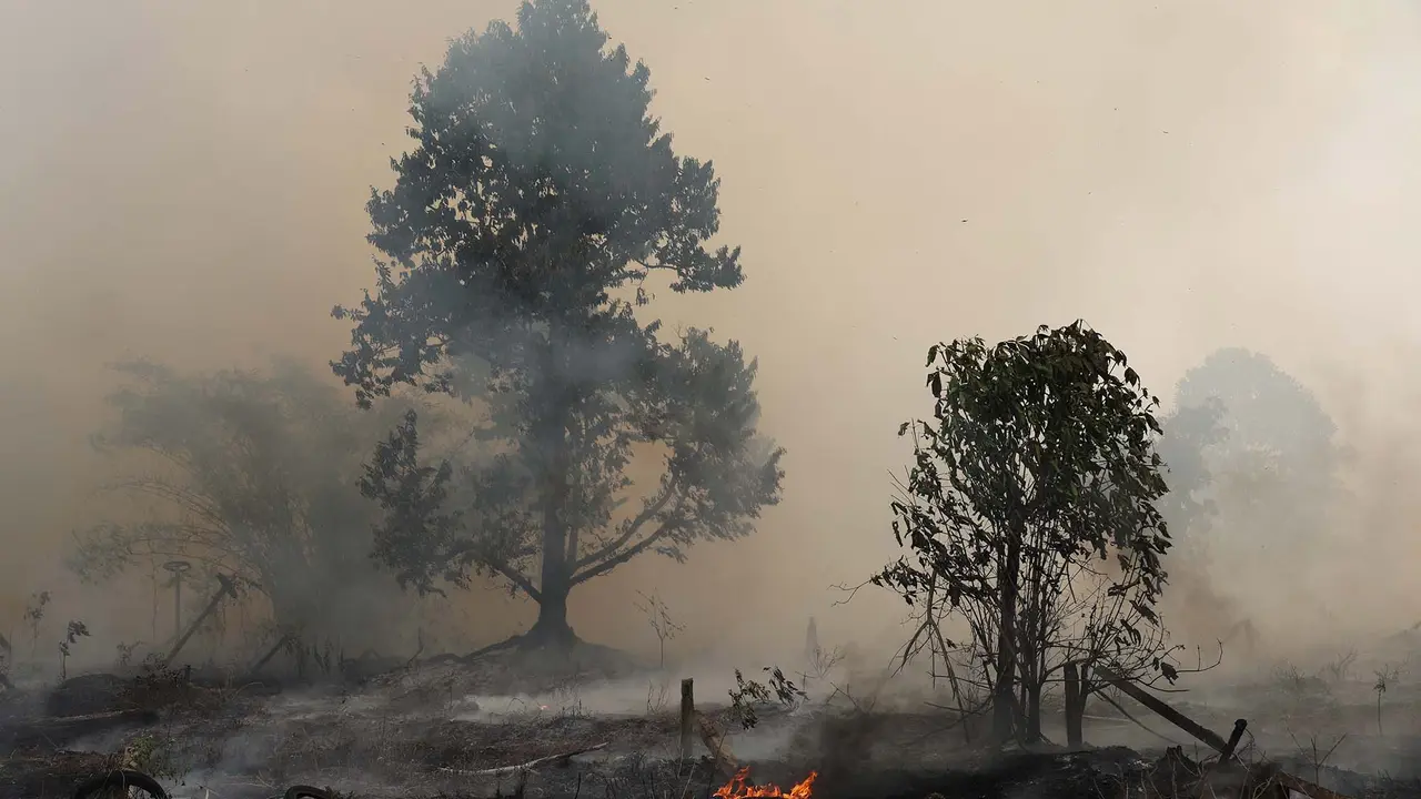 Kabut Asap Berbulan-bulan Melanda Sejumlah Daerah, Status Bencana Nasional Tak Kunjung Ditetapkan